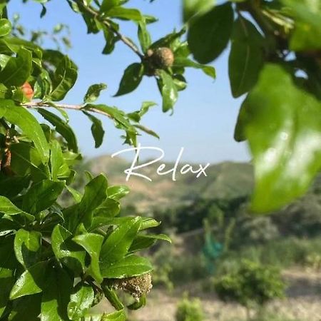 Casa Vacanze Sicilia Casteltermini Eksteriør billede
