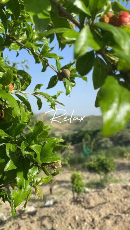 Casa Vacanze Sicilia Casteltermini Eksteriør billede